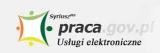 Usługi elektroniczne praca.gov.pl